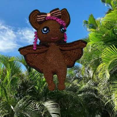la chauve-souris AIR